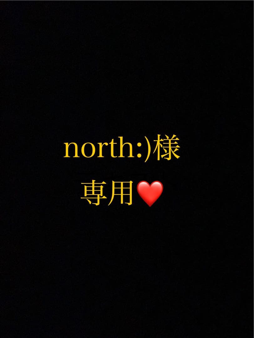 north:)ページ