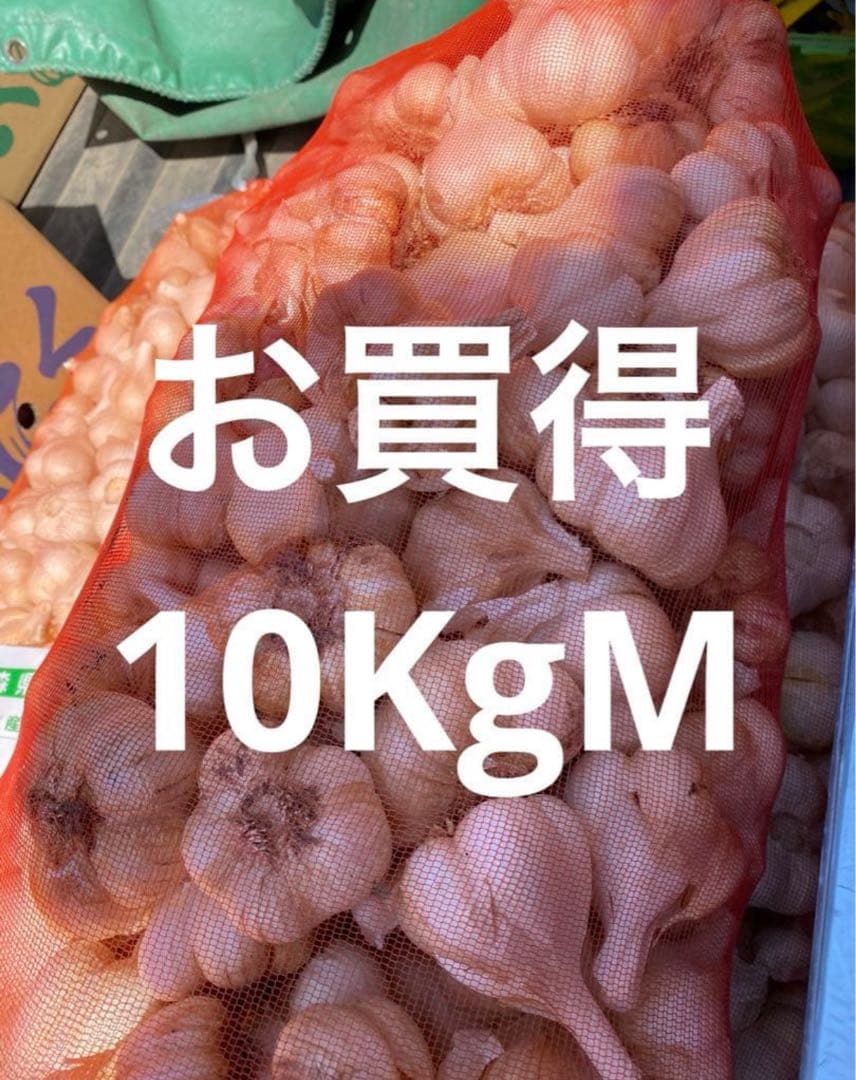 新物　青森県にんにく10Kg M 良品