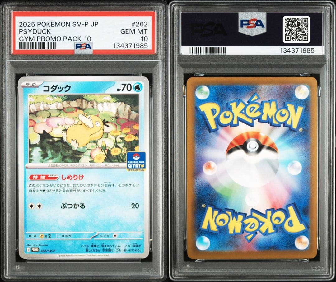 PSA10 コダック　しめりけ　262/SV-P ジムプロモ　3枚セット