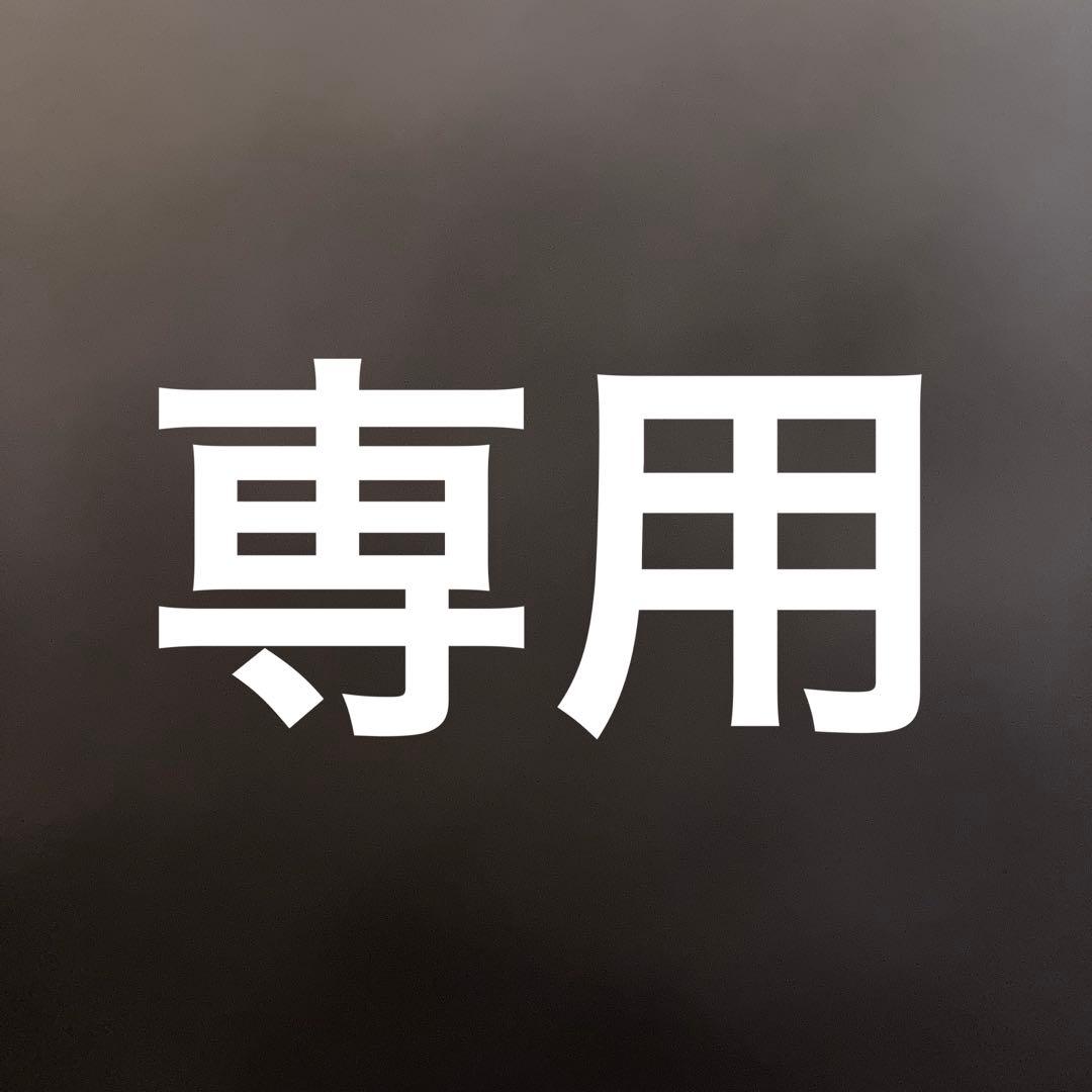 Panasonic スチームオーブンレンジ Bistro