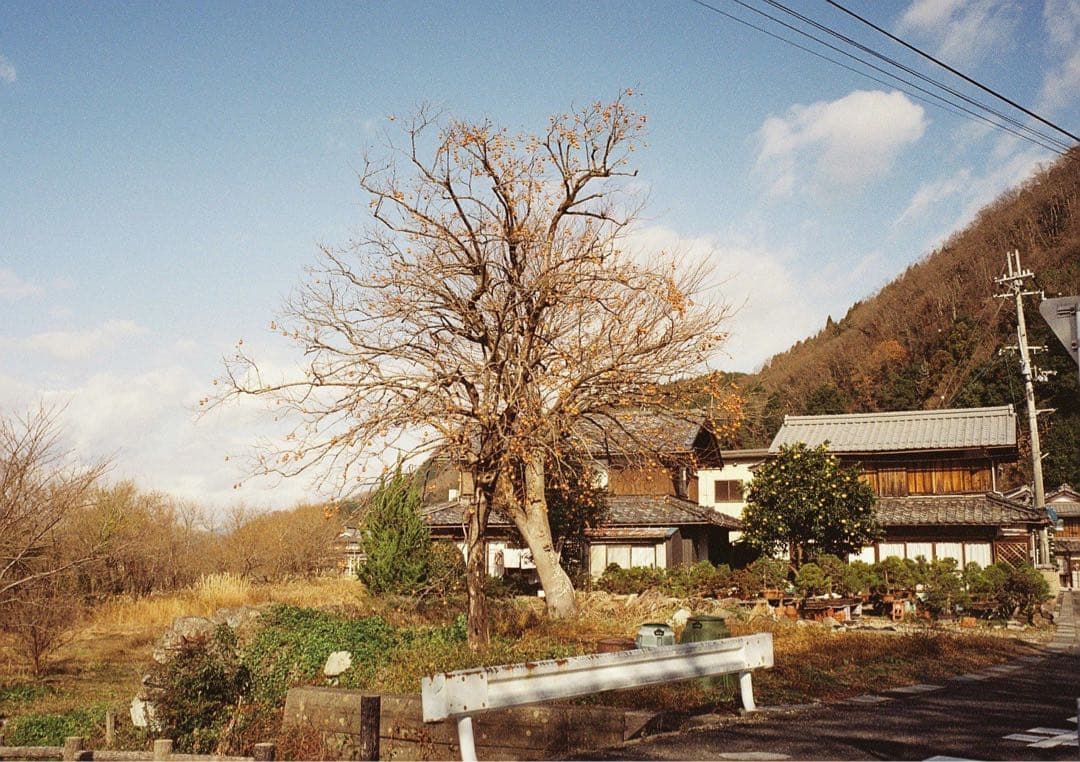 Summicron 35mm F2 7枚玉　OH済み　ドイツ製