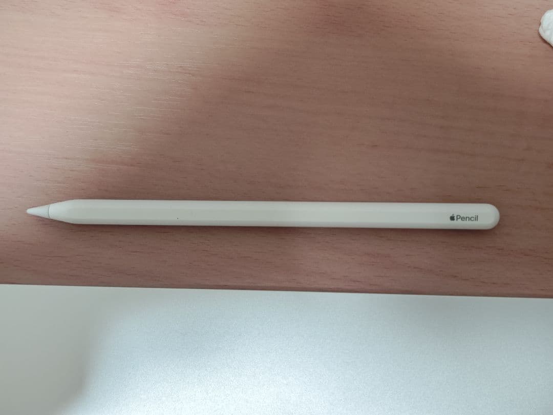 iPad Pro 11inch GEN1 Wi-Fi 512GB Pencil付