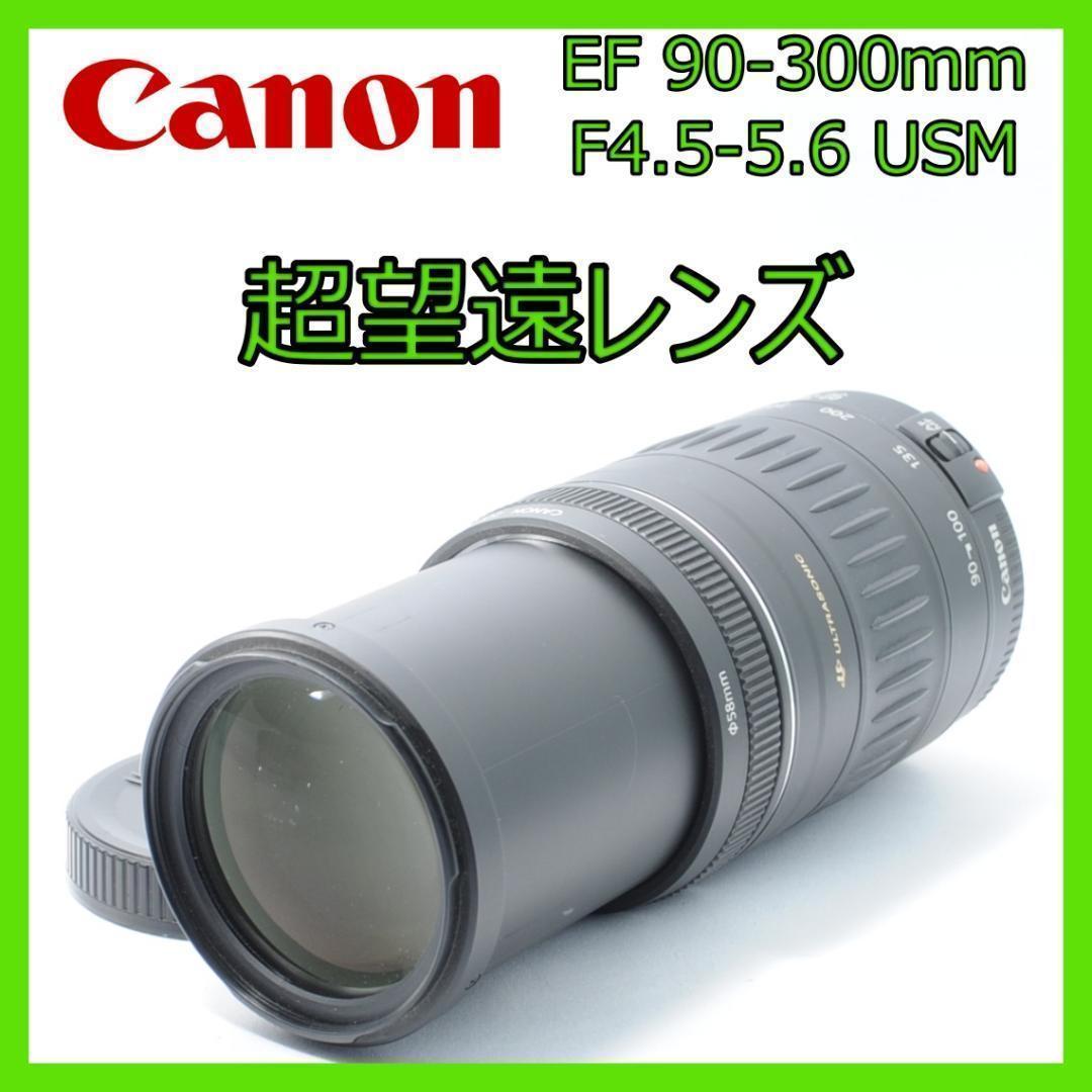 風景写真を綺麗に❤️Canon EF 90-300mm USM✨️超望遠レンズ