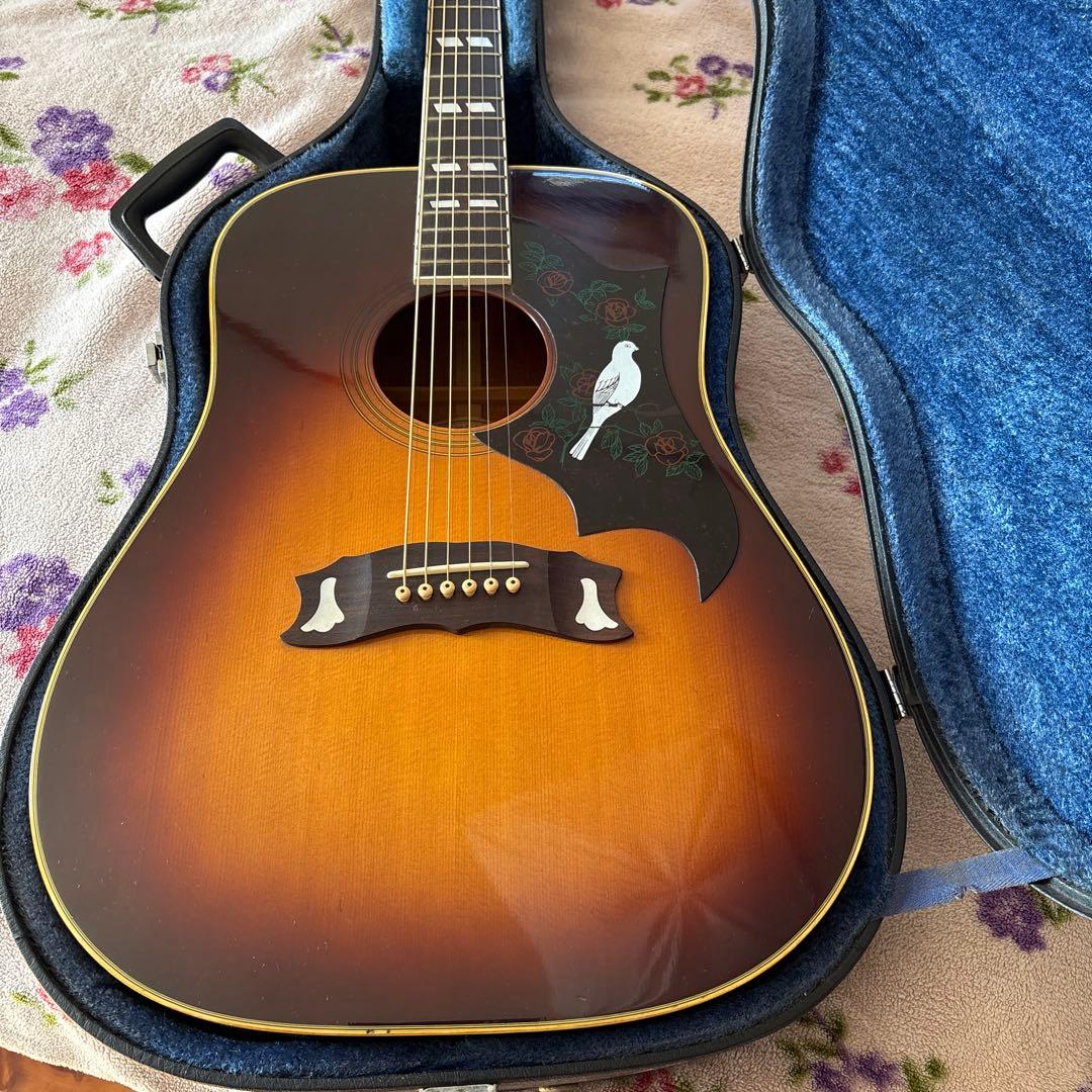 モーリス　ダブモデル➕ハードケース