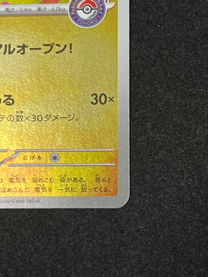 トウホクのピカチュウ プロモ