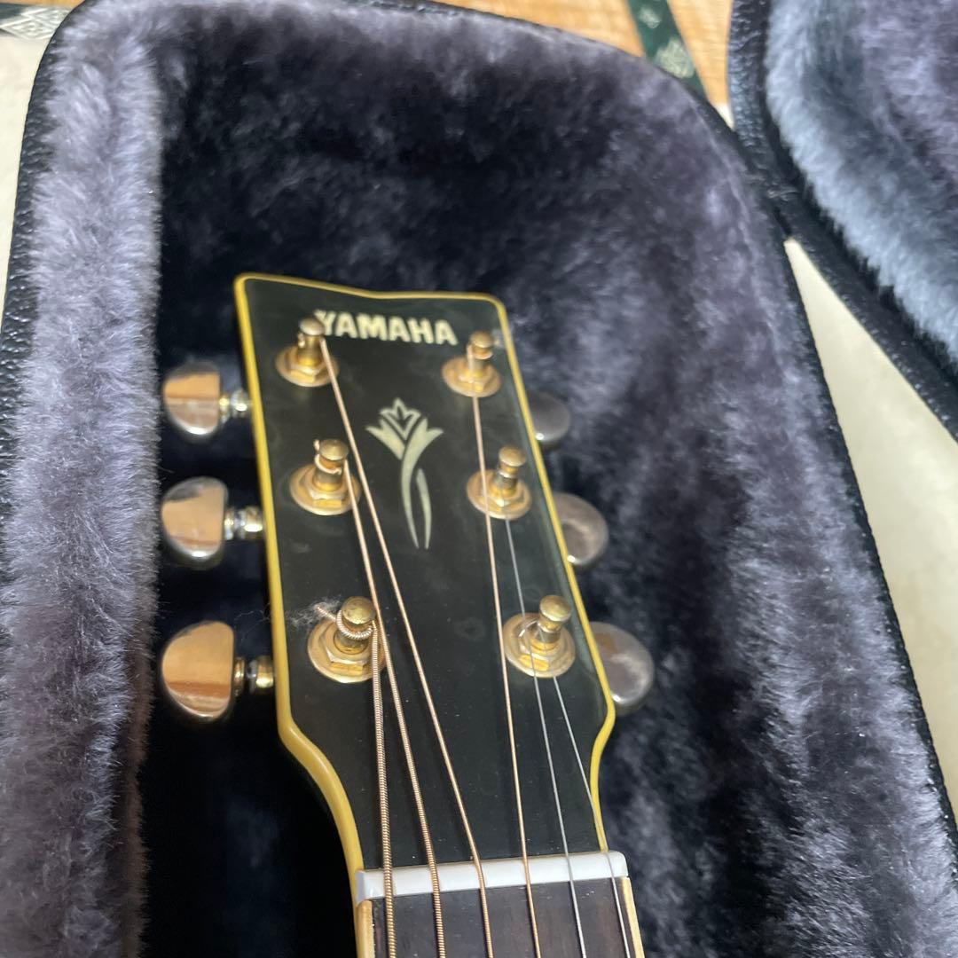 Yamaha DW-8 BL アコースティックギター