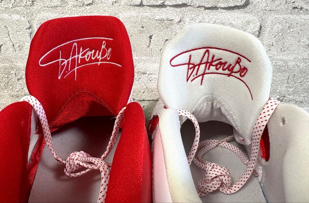 ◆限定・極美品◆Nike Zoom Freak 5 ASW EPバスケットボール