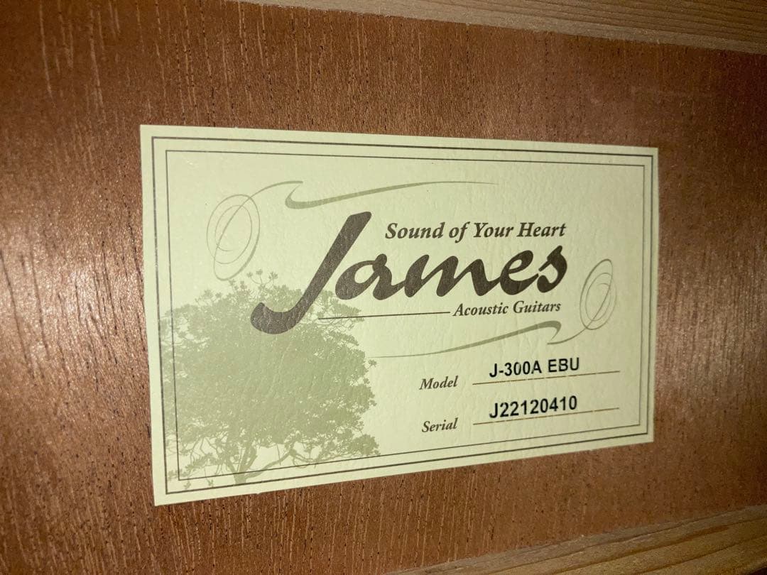 James J-300A/EBU ジェームスギター