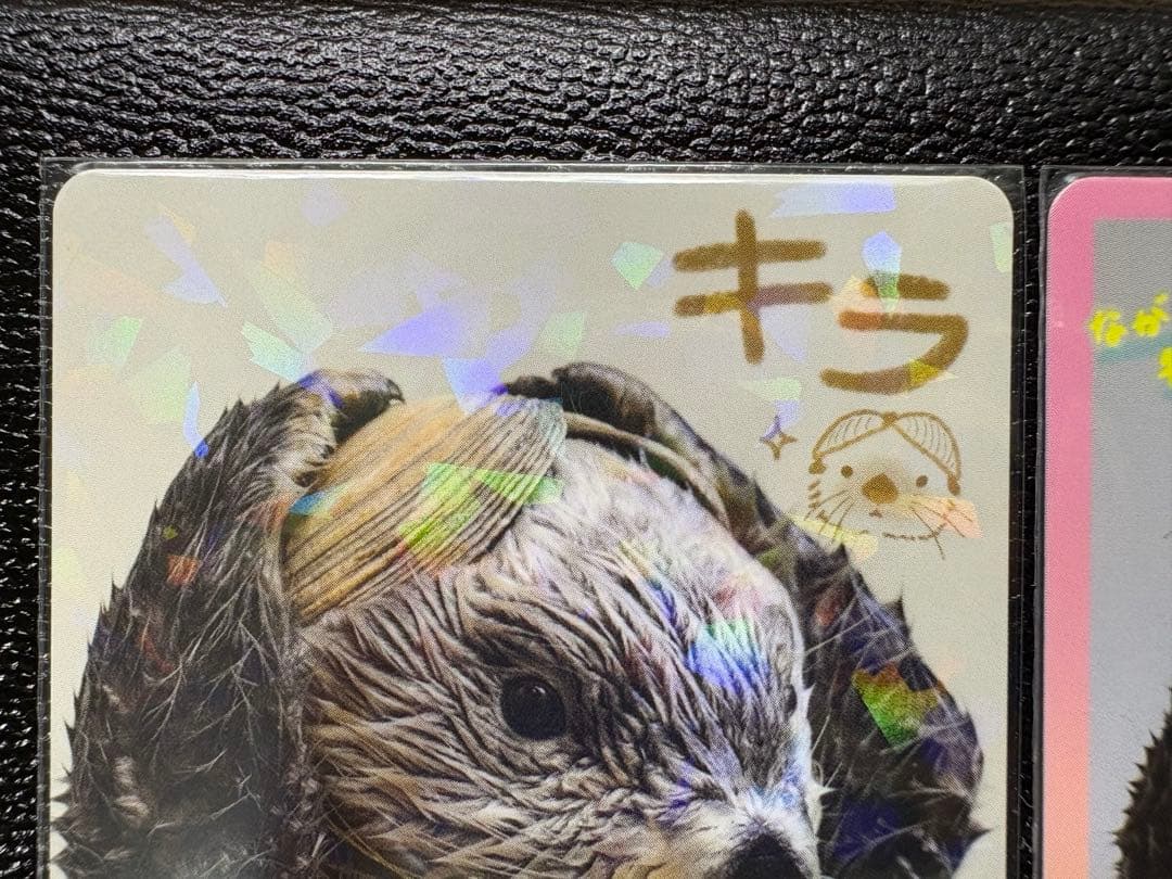 【鳥羽水族館】70周年記念 コレクションカード キラちゃんセット