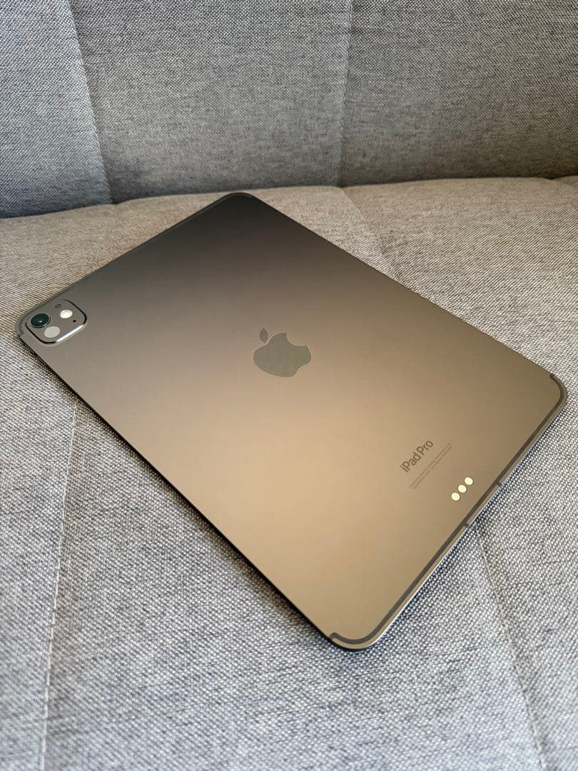 iPad Pro M4 11インチ 256GB Wi-Fi+Cellular