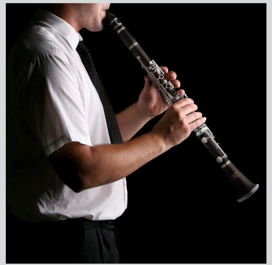 Eastar クラリネット ニッケルメッキ お手入れ付 初心者向け