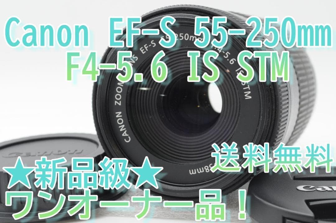 ▲新品級①▲ Canon EF-S 55-250mm f4-5.6 IS STM