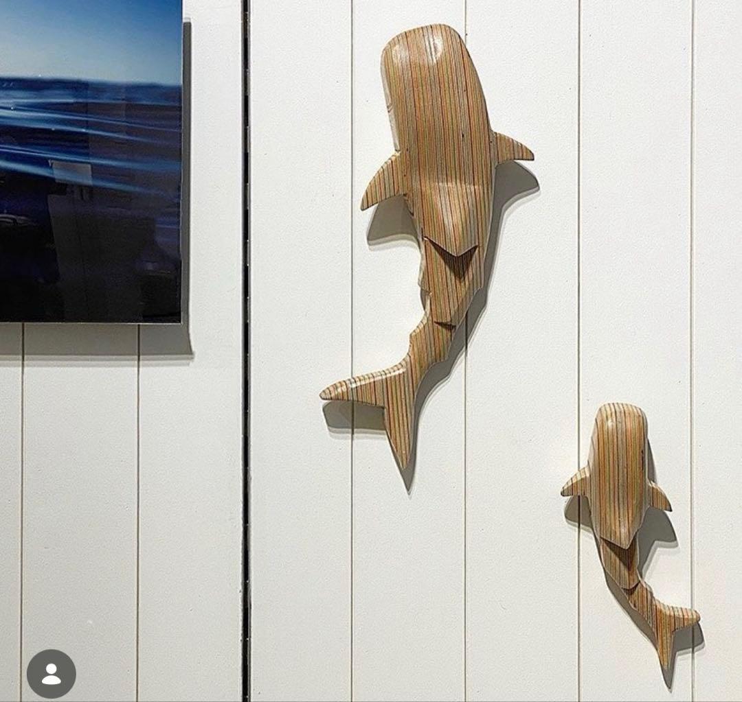 WTW ウォールシャークセット