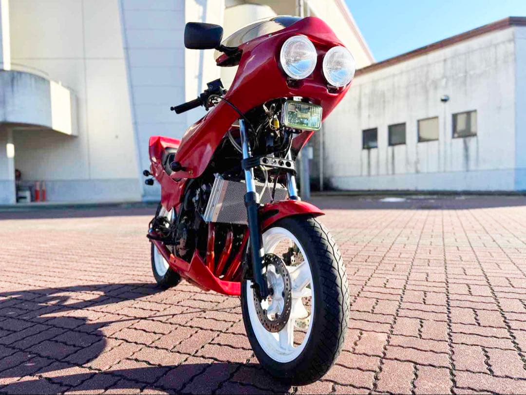 ラジエーターカバー　GF250　送料無料　かっぺオリジナル　空冷オイルクーラー風