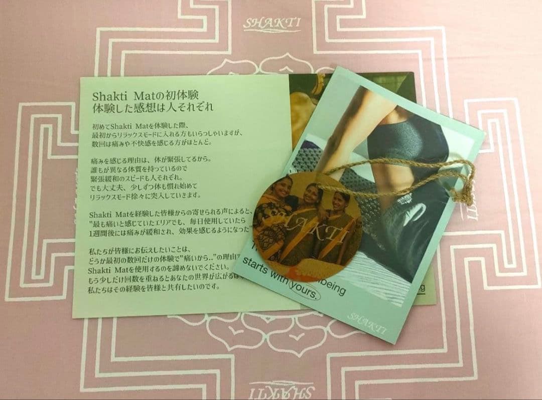 【正規品】タグ付き　シャクティマットandピローセット