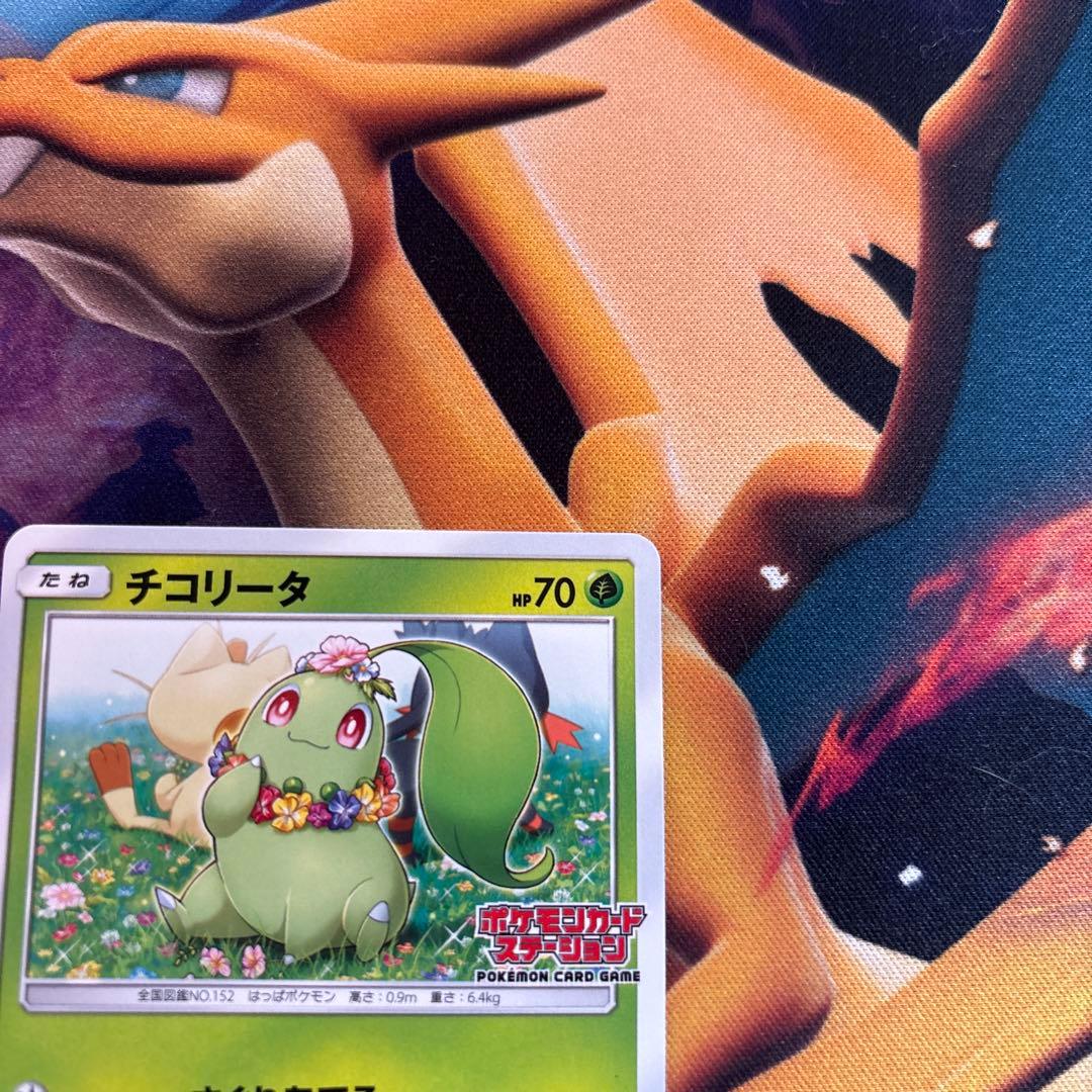 ポケカ　チコリータ　ポケモンカードステーション　プロモ