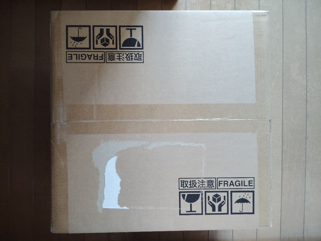 【花】BRUNO BOE067-WH WHITE