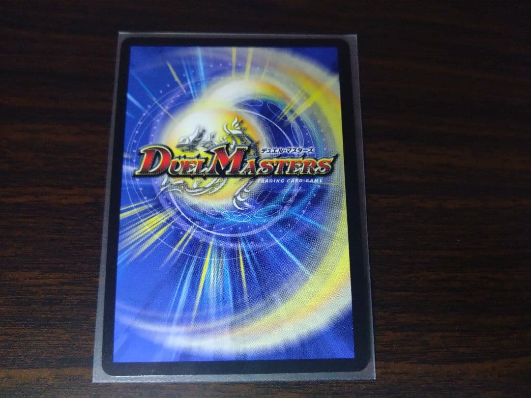 シャコガイル　a 2枚