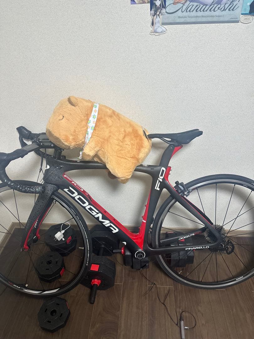 Dogma F10 中華カーボンフレームセット ロードバイク 自転車 中古