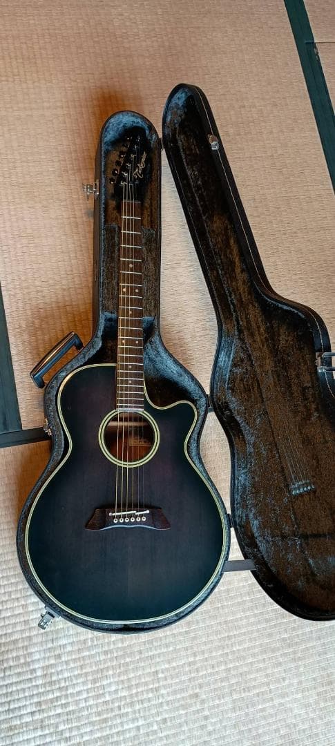 【メンテ済美品】Takamine PT-106-6 専用ハードケース付