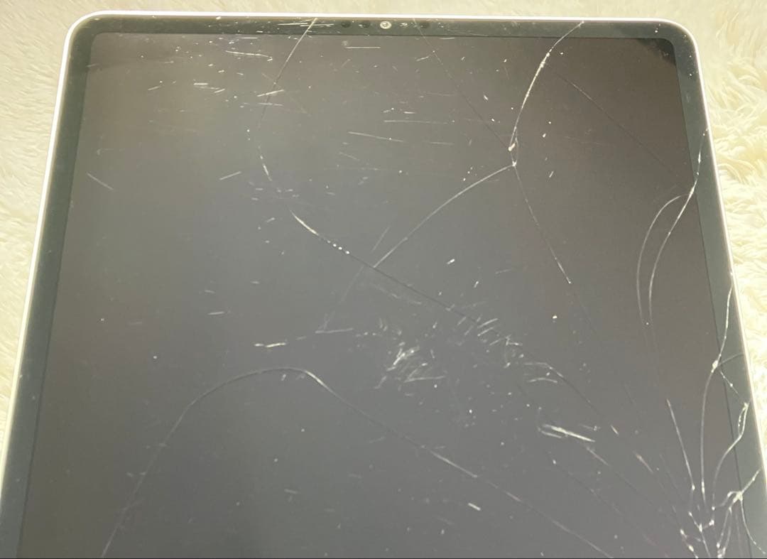 【早い者勝ち】iPad Pro 12.9第6世代 128GB 【すぐ発送】