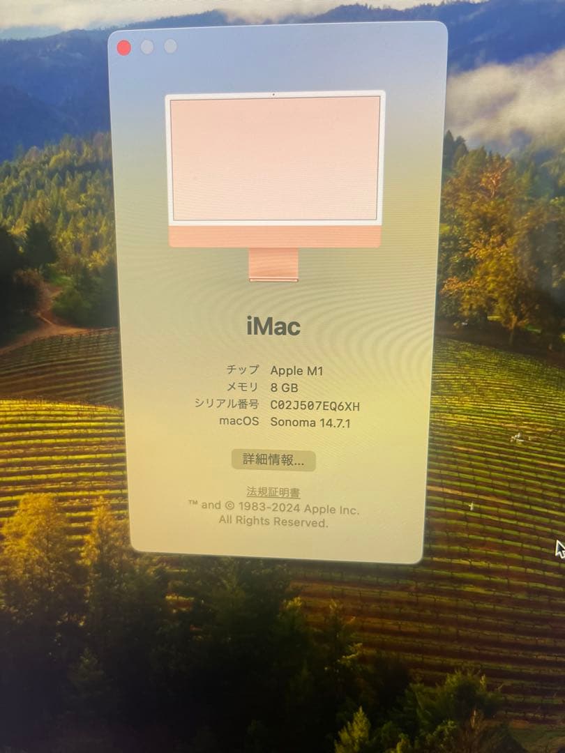 iMac 【M1 / 8コアGPU / 8GBメモリ/ 250GBSSD】