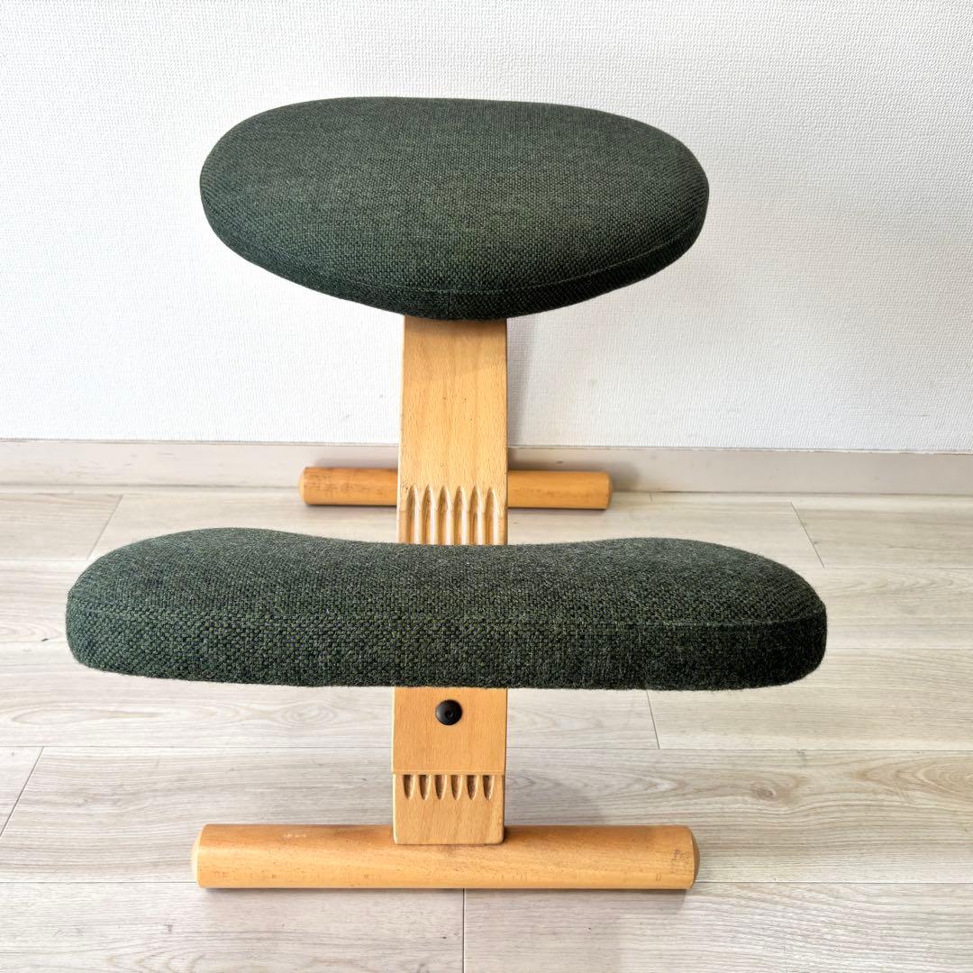 【廃盤希少カラー 】Rybo バランスイージー　Balans EASY グリーン