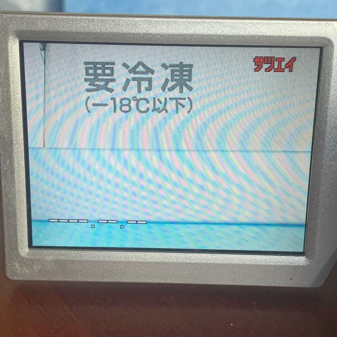 ジャンク パナソニック Panasonic NV-GS400 デジカム