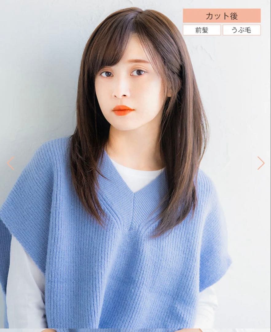 人毛100%フルウィッグ　リネアストリア チョコブラウン ストレートロング