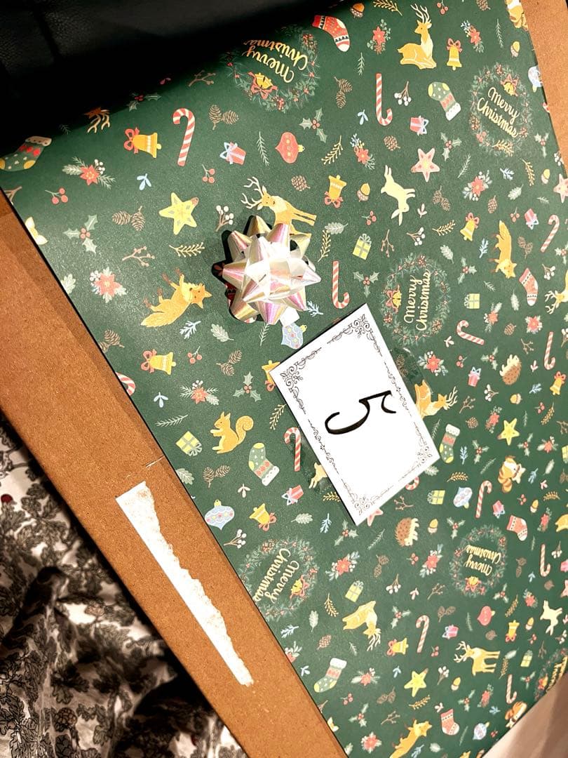 【新品未使用未開封】COSORI ノンフライヤー CAF-L501-KJP