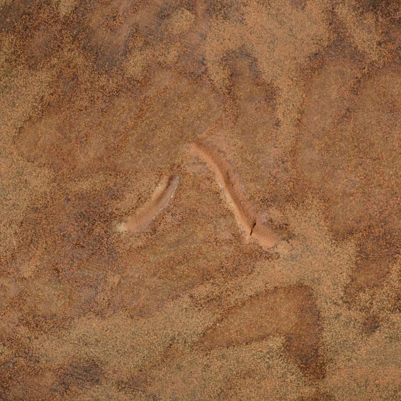 天馬　中国　釣窯　窯変釉　鉢　C　7847E