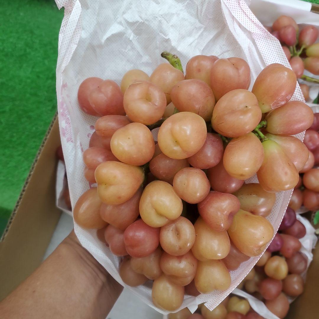 1⃣ 山梨県産 マイハート ７房入り 箱込み5.6キロ