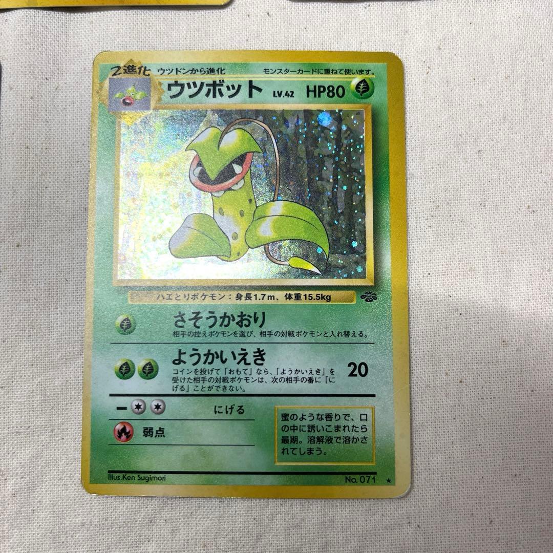 【旧裏】ポケモンカード　草タイプ★ 5枚セット