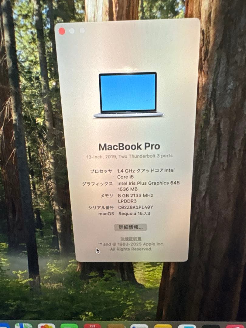 Apple MacBook Pro 13インチ 2019