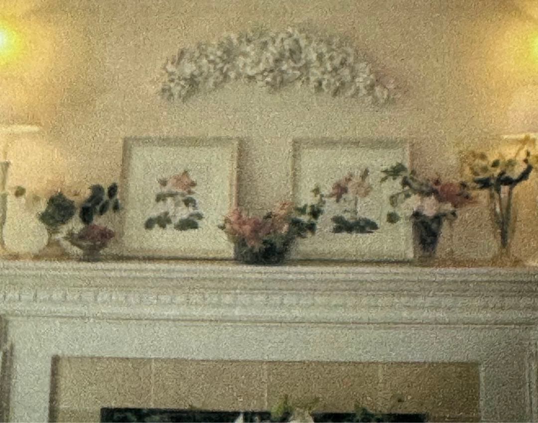 ウォールデコ　メダリオン　壁飾り　コクシグル　ブランマリクロ　サラグレース