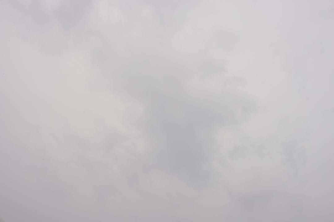 シネレンズ　EFマウント 50mm T1.6