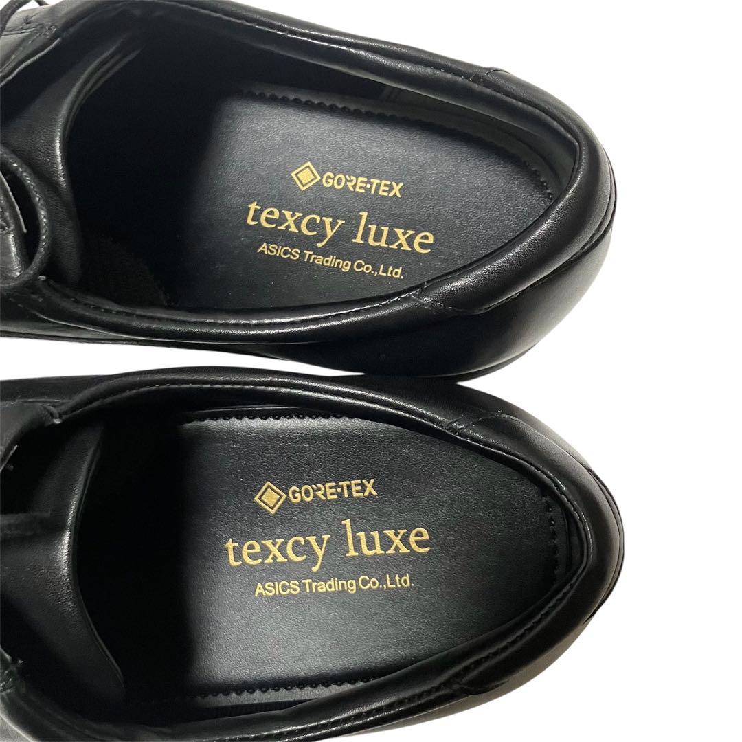 texcy luxe asics アシックス GORE-TEX 防水シューズ26