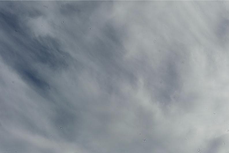 オリジナルセンサーID5　ライカ Leica M9 ブラックペイント LEICA