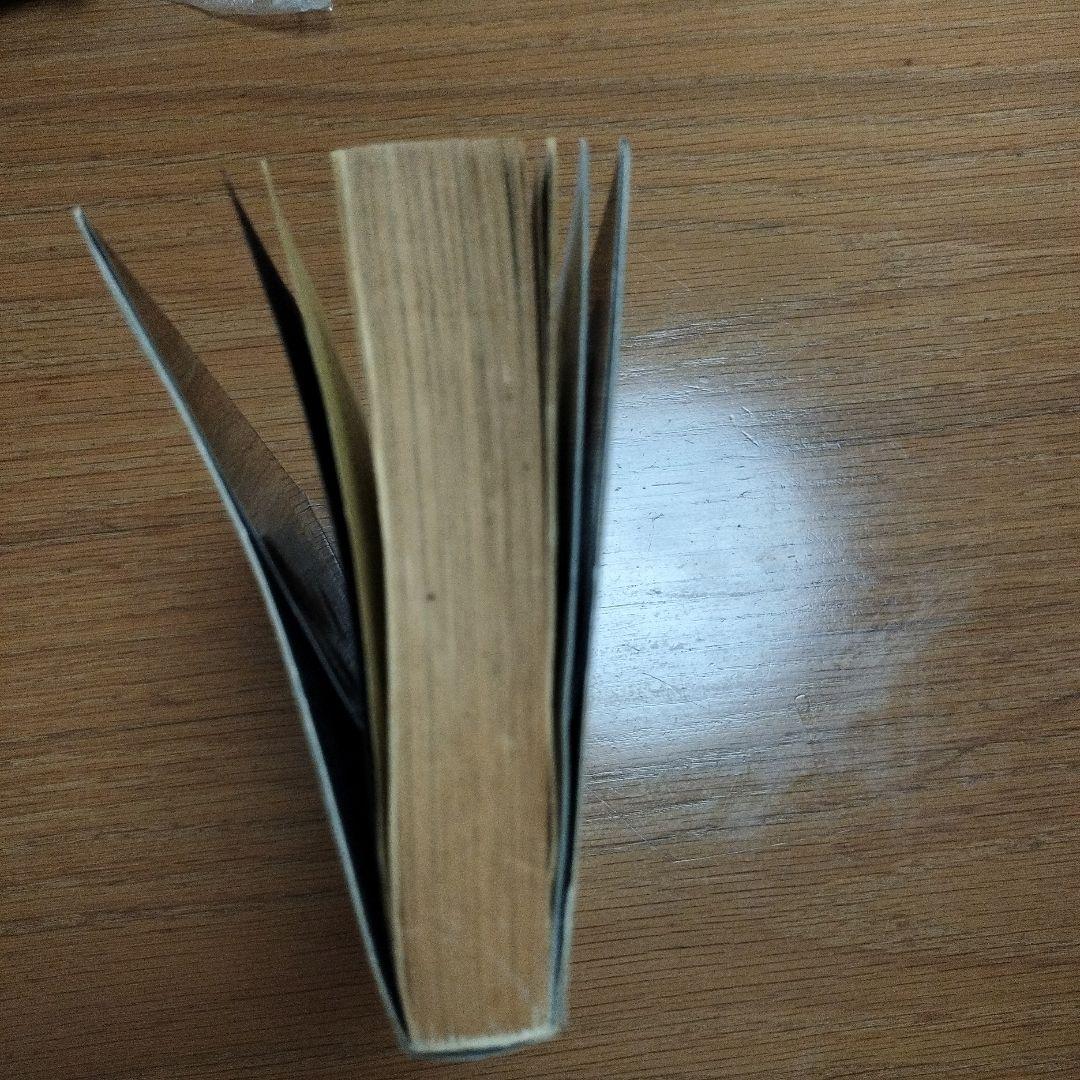 ケーフェイ　佐山聡