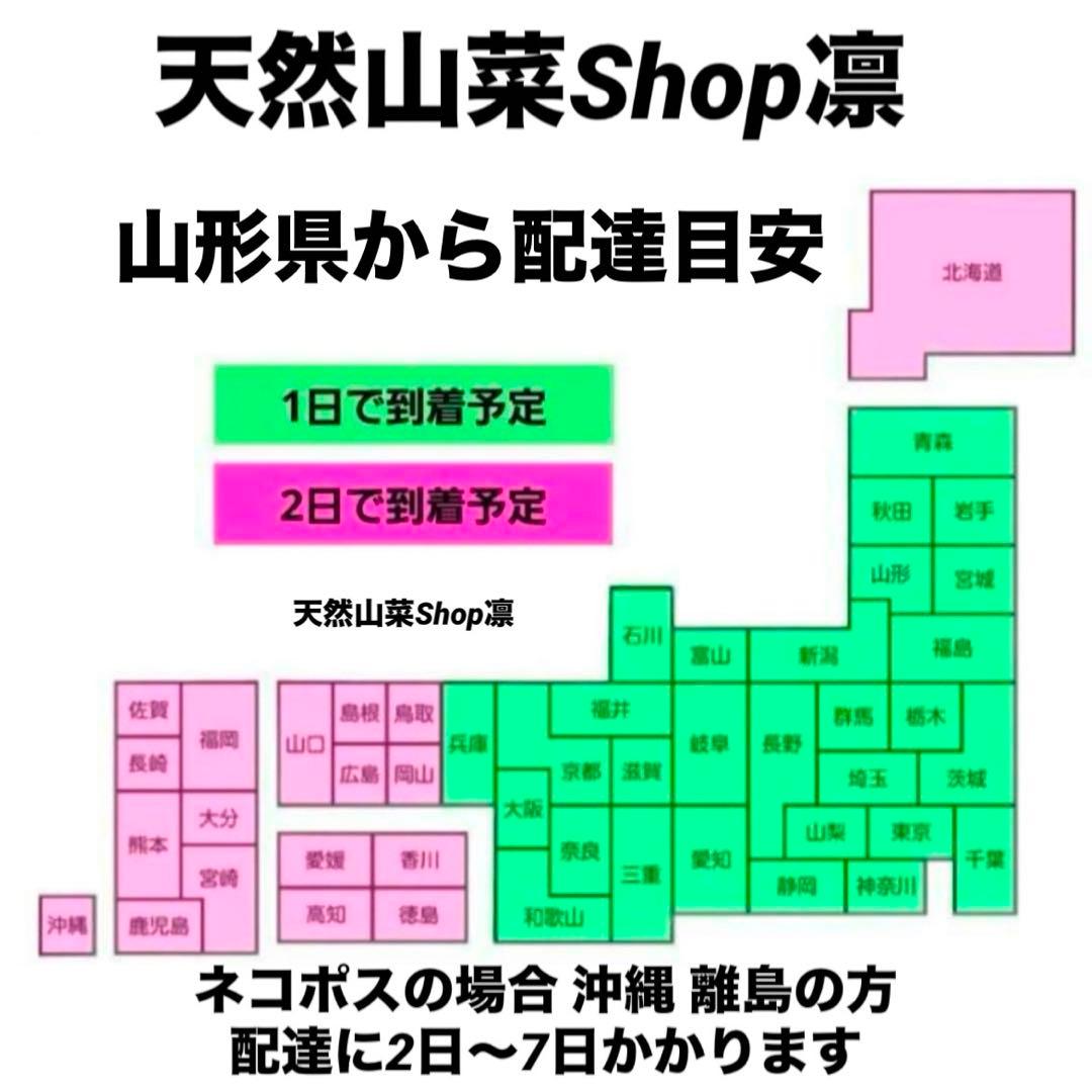 天然きのこ 松茸 国産 マツタケ まつたけ 山形県産 森の凛さん採取 その127