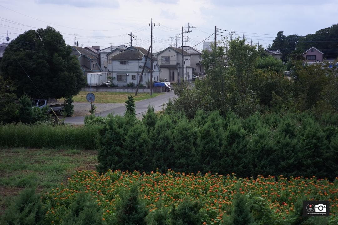 希少美品Nikkor H 5ｃm F/2 黒帯ライカＬ３９レンズ整備済２