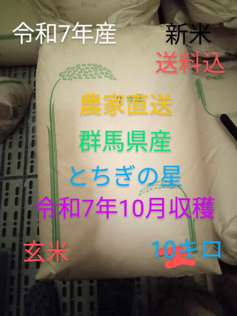 R7年産 新米 群馬県産 とちぎの星 10キロ 玄米 送料込 ①