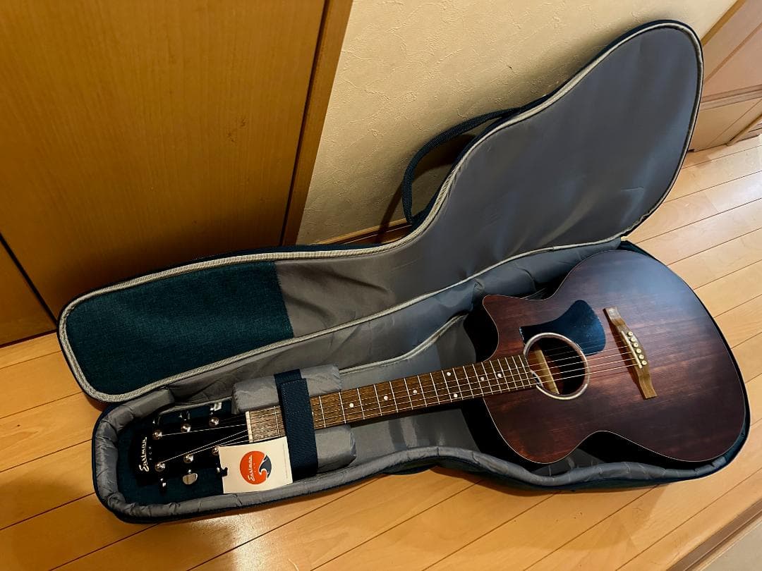 Eastman　PCH1-GACE-CLA　ピックアップ搭載エレアコ　保証あり