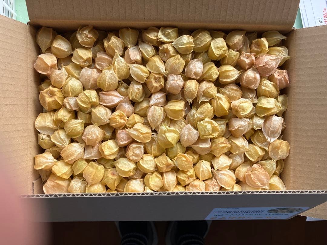 専用出品です　食用ほおずきトマチロコサックパイナップル2kg