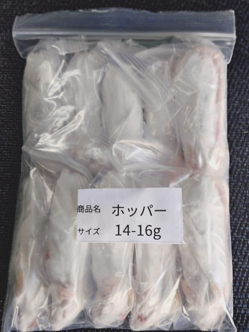 堀川ポッカ　送料無料 冷凍アダルトＬ30匹　アダルトM30匹ホッパー10匹