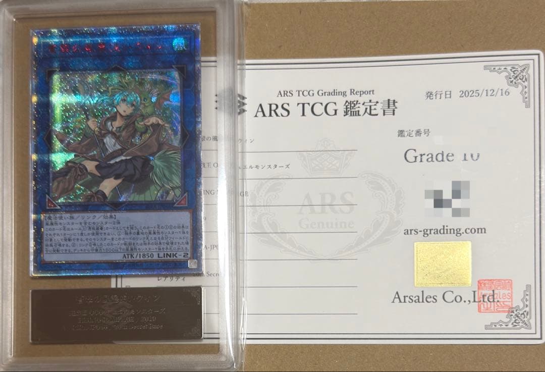 【超極美品】ARS10 蒼翠の風霊使いウィン 20th