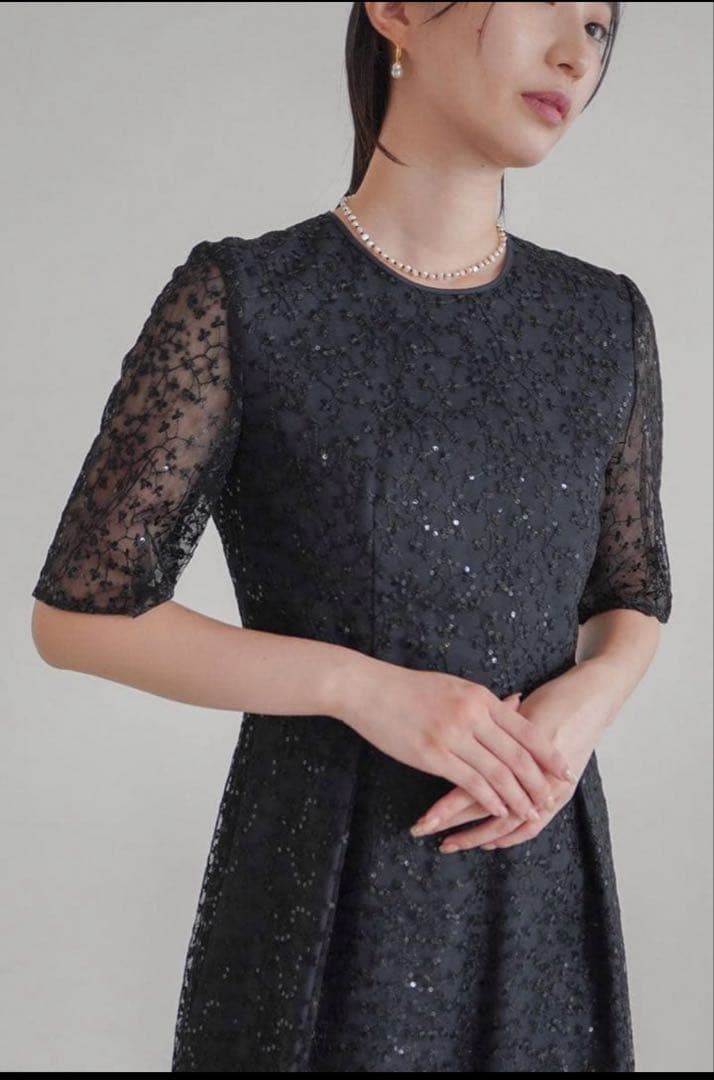 kaene スパンコールエンブロイダリードレス