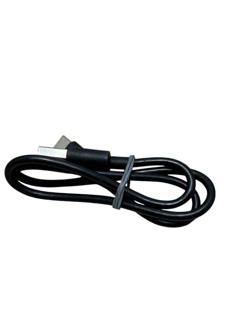 美品✨ Devialet Gemini ワイヤレスイヤホン 付属品完備・除菌済み