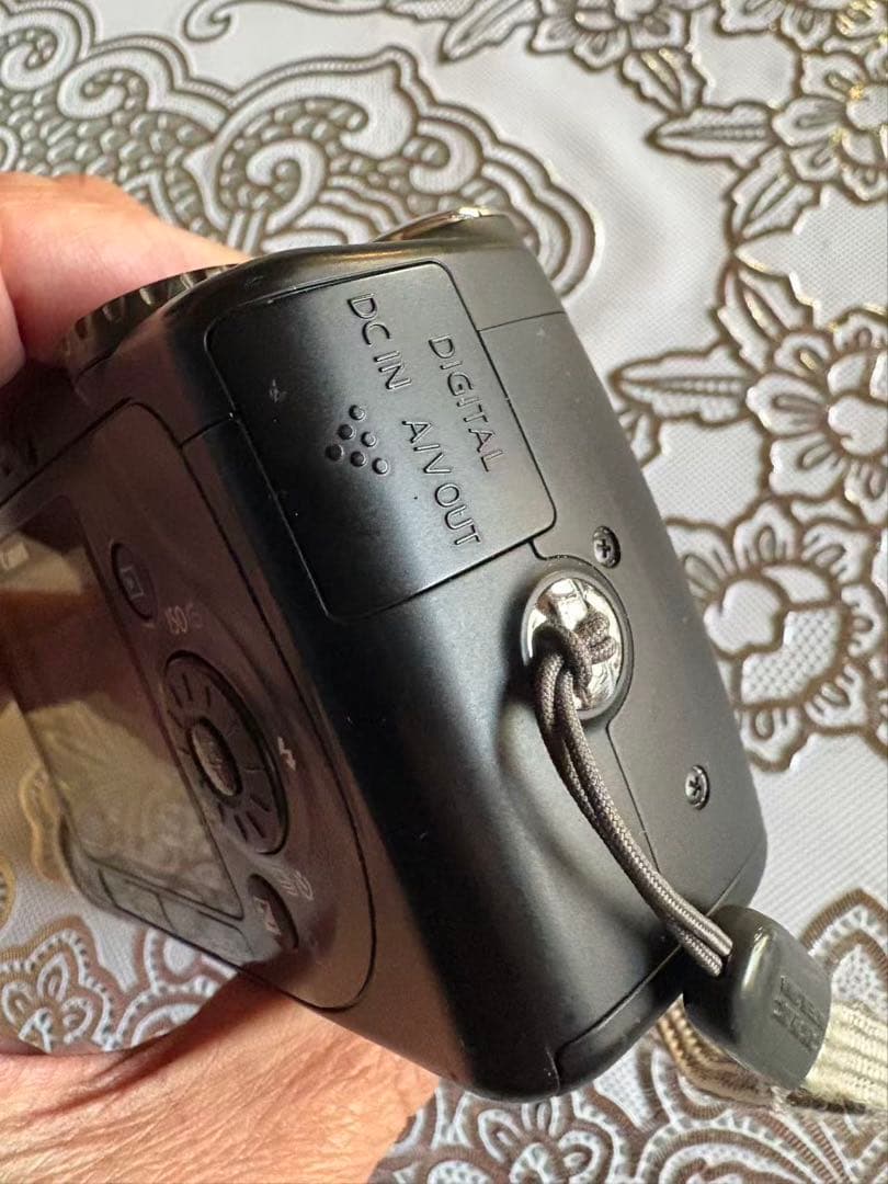 Canon　PowerShot　SX100IS （ケース付）