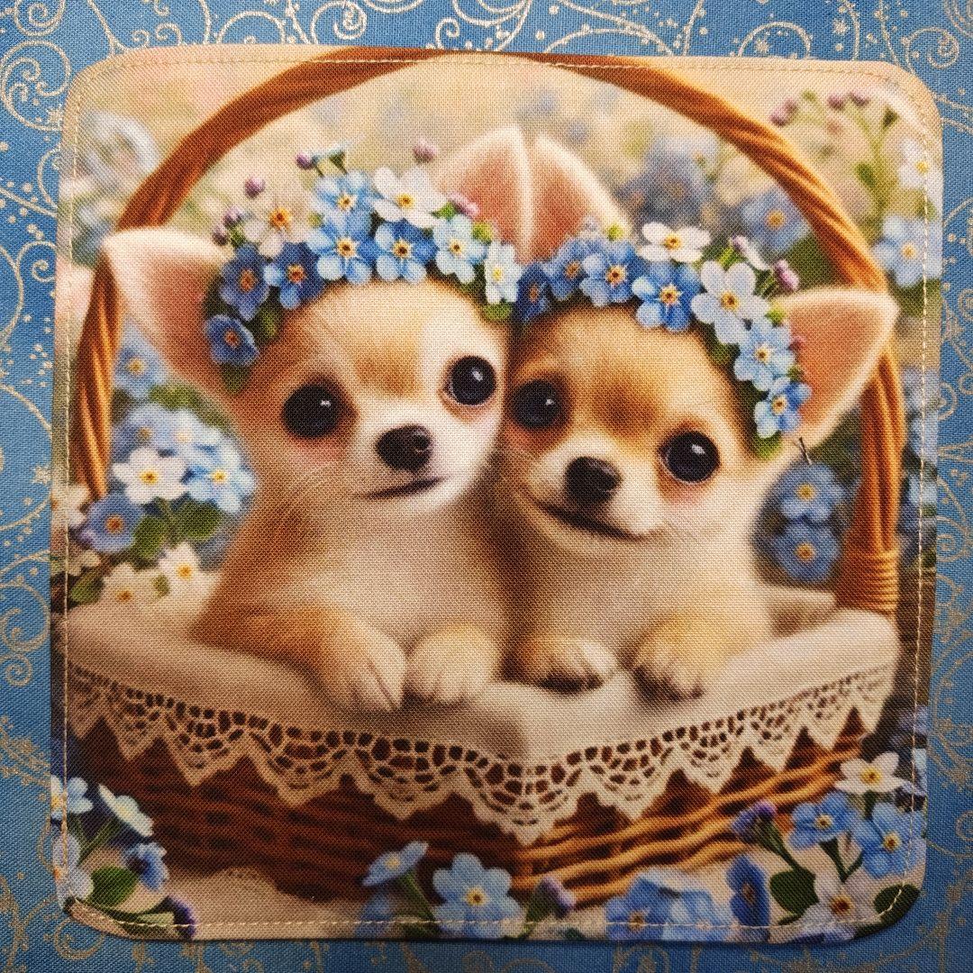 ご確認用　あしべ☆　ハンカチ　ねこちゃん　チワワ柄　21枚